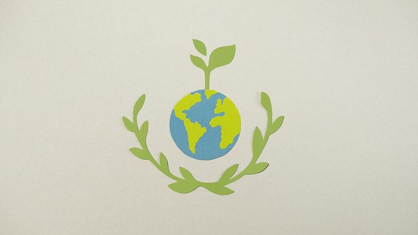 Photographier des Concerts : Guide Ultime pour Débutants Passionnés